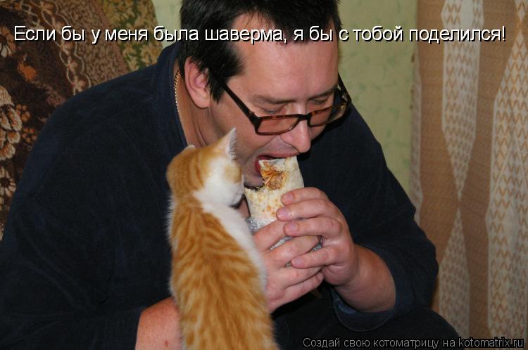 Котоматрица: Если бы у меня была шаверма, я бы с тобой поделился! Если бы у меня была шаверма, я бы с тобой поделился! Если бы у меня была шаверма, я бы с тоб