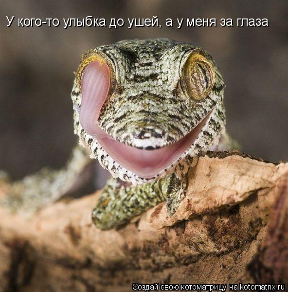 Котоматрица: У кого-то улыбка до ушей, а у меня за глаза
