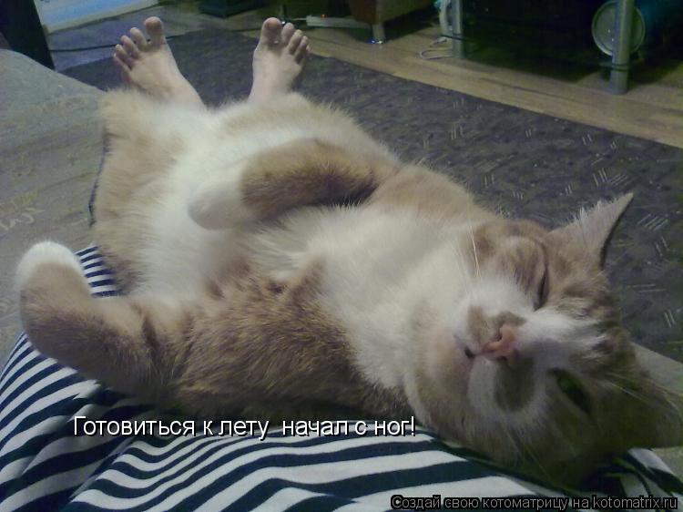 Котоматрица: Готовиться к лету  начал с ног!