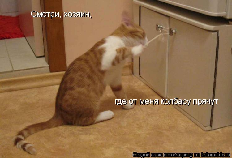 Котоматрица: Смотри, хозяин,  где от меня колбасу прячут