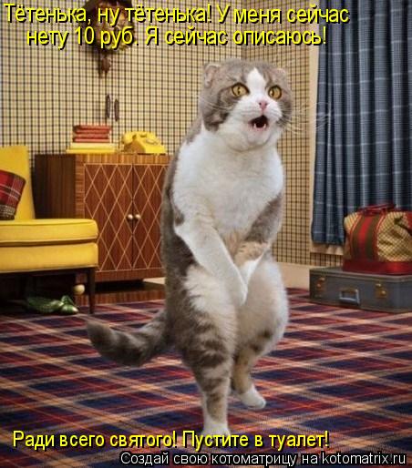 Котоматрица: Тётенька, ну тётенька!  У меня сейчас нету 10 руб. Я сейчас описаюсь! Ради всего святого! Пустите в туалет!