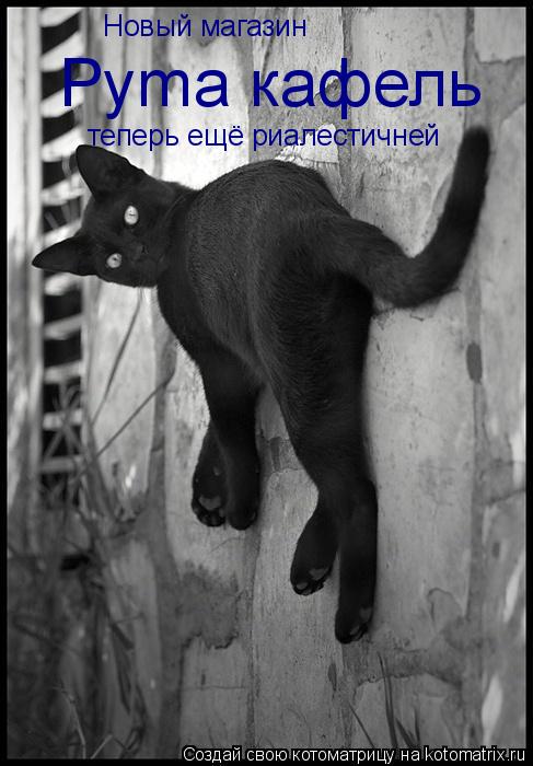 Котоматрица: Новый магазин Pyma кафель теперь ещё риалестичней