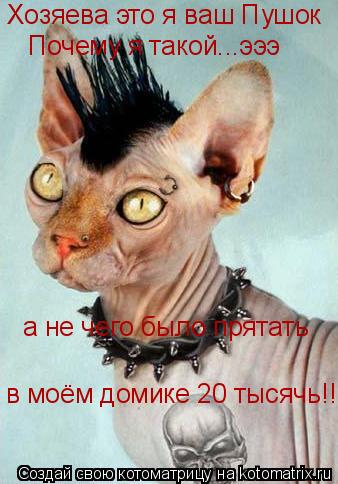 Котоматрица: Хозяева это я ваш Пушок Почему я такой...эээ а не чего было прятать в моём домике 20 тысячь!!!!