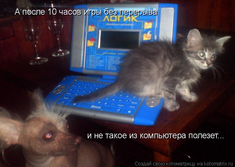Котоматрица: А после 10 часов игры без перерыва и не такое из компьютера полезет...