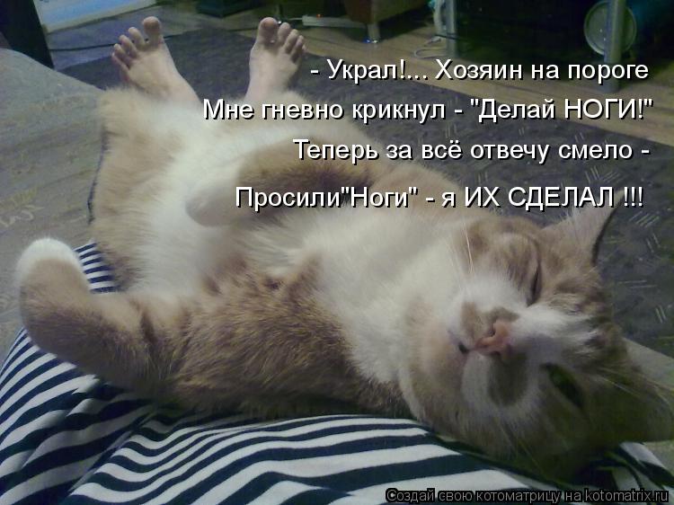 - Украл!... Хозяин на пороге Мне гневно крикнул - "Делай НОГИ!" Теперь за всё отвечу смело - Просили"... Котоматрица: - Украл!... Хозяин на пороге Мне гневно крикнул - "Делай НОГИ!" Теперь за всё отвечу смело - Просили"Ноги" - я ИХ СДЕЛАЛ !!!