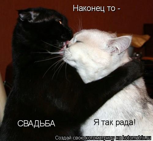 Котоматрица: Наконец то - СВАДЬБА Я так рада!