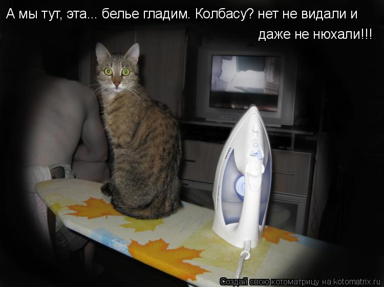 Котоматрица: А мы тут, эта... белье гладим. Колбасу? нет не видали и даже не нюхали!!!