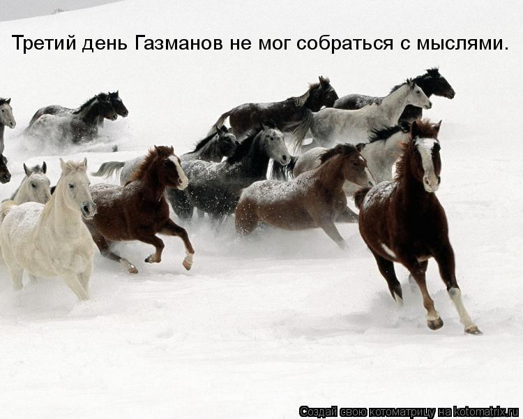 Третий день Газманов не мог собраться с мыслями.... Котоматрица: Третий день Газманов не мог собраться с мыслями.