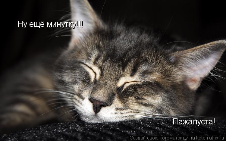 Котоматрица: Ну ещё минутку!!! Пажалуста!