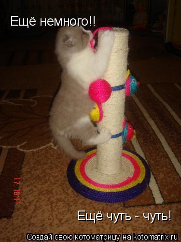 Котоматрица: Ещё немного!! Ещё чуть - чуть!