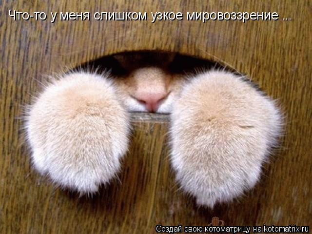 Котоматрица: Что-то у меня слишком узкое мировоззрение ...