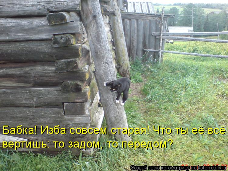 Котоматрица: Бабка! Изба совсем старая! Что ты её всё  вертишь: то задом, то передом?