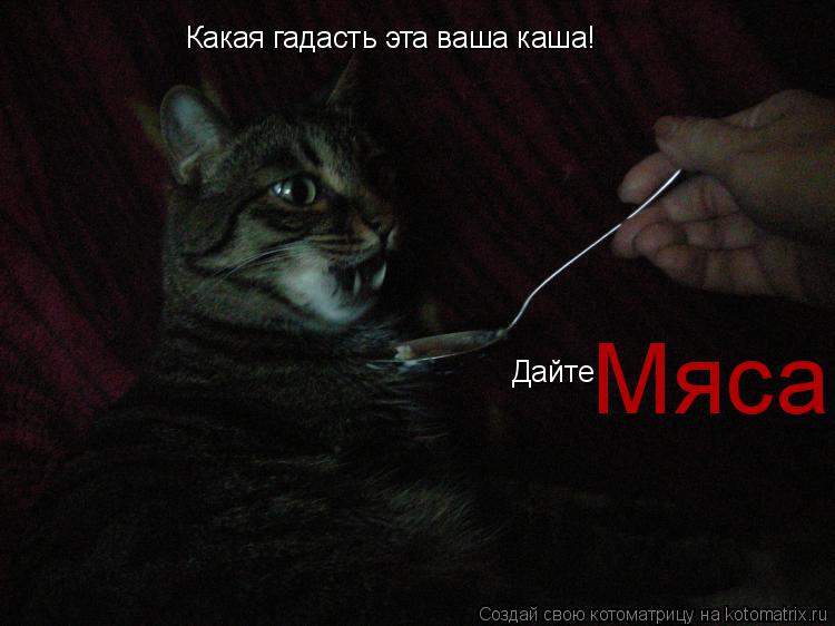 Какая гадасть эта ваша каша! Дайте Мяса... Котоматрица: Какая гадасть эта ваша каша! Дайте Мяса