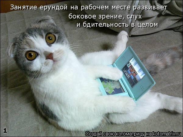 Занятие ерундой на рабочем месте развивает боковое зрение, слух и бдительность в целом... Котоматрица: Занятие ерундой на рабочем месте развивает боковое зрение, слух и бдительность в целом