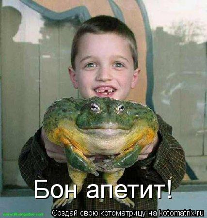 Бон апетит!... Котоматрица: Бон апетит!