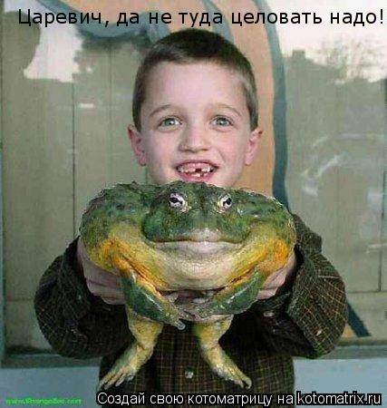 Царевич, да не туда целовать надо!... Котоматрица: Царевич, да не туда целовать надо!