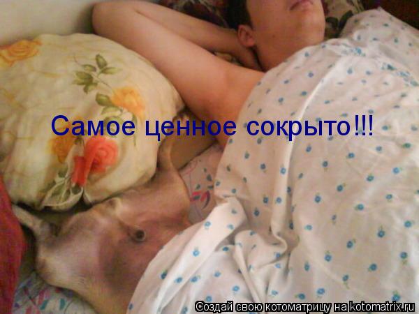 Самое ценное сокрыто!!!... Котоматрица: Самое ценное сокрыто!!!