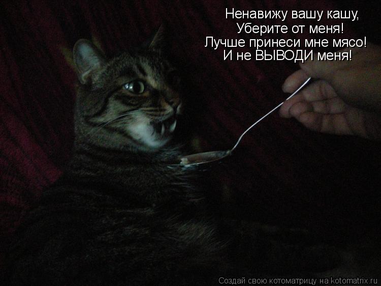 Ненавижу вашу кашу, Уберите от меня! Лучше принеси мне мясо! И не ВЫВОДИ меня!... Котоматрица: Ненавижу вашу кашу, Уберите от меня! Лучше принеси мне мясо! И не ВЫВОДИ меня!
