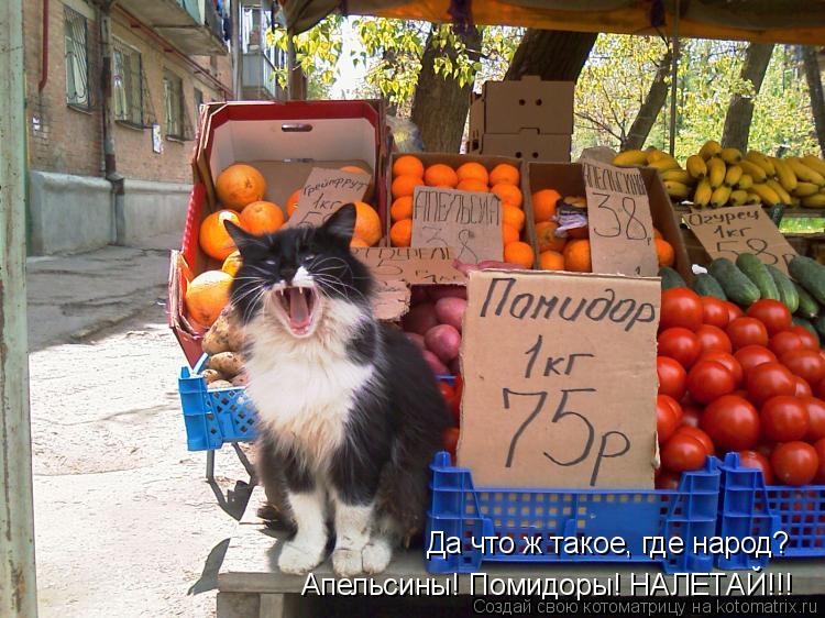 Котоматрица: Апельсины! Помидоры! НАЛЕТАЙ!!! Да что ж такое, где народ?