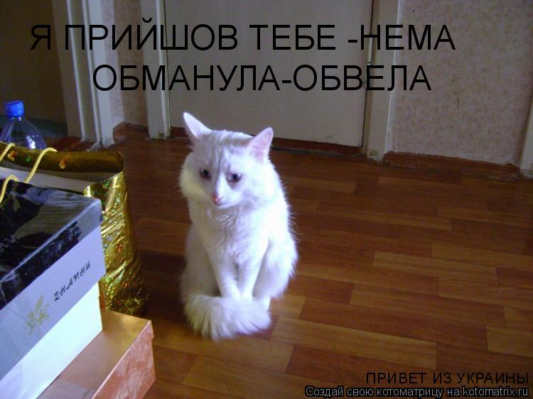 Котоматрица: Я ПРИЙШОВ ТЕБЕ -НЕМА ОБМАНУЛА-ОБВЕЛА ПРИВЕТ ИЗ УКРАИНЫ