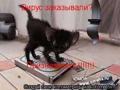 Котоматрица: Вирус заказывали? Признаватесь!!!!!!!