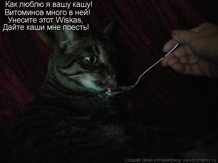 Котоматрица: Как люблю я вашу кашу! Витоминов много в ней! Унесите этот Wiskas, Дайте каши мне поесть!