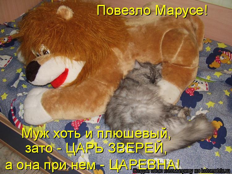 Котоматрица: Повезло Марусе! зато - ЦАРЬ ЗВЕРЕЙ, а она при нем - ЦАРЕВНА! Муж хоть и плюшевый,