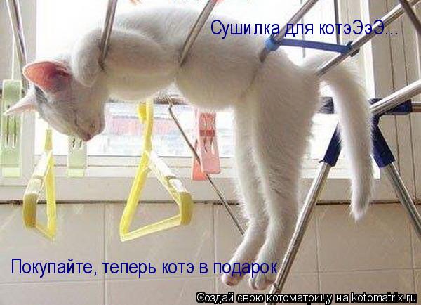 Котоматрица: Сушилка для котэЭэЭ... Сушилка для котэЭэЭ... Покупайте, теперь котэ в подарок