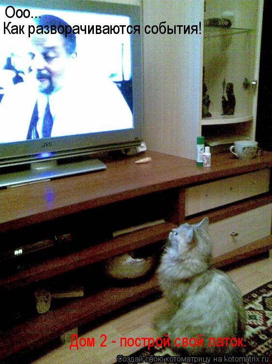 Котоматрица: Ооо... Ооо... Как разворачиваются события!  Дом 2 - построй свой латок.