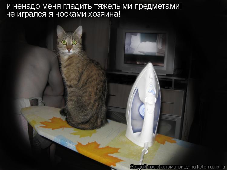 Котоматрица: и ненадо меня гладить тяжелыми предметами! не игрался я носками хозяина!