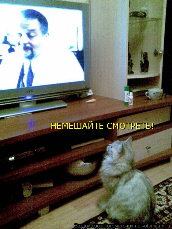 Котоматрица: НЕМЕШАЙТЕ СМОТРЕТЬ!