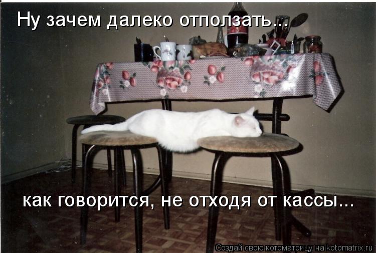 Ну зачем далеко отползать... как говорится, не отходя от кассы...... Котоматрица: Ну зачем далеко отползать... как говорится, не отходя от кассы...