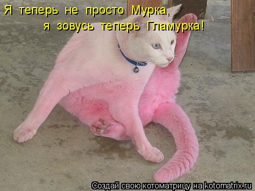 Котоматрица: Я  теперь  не  просто  Мурка, я  зовусь  теперь  Гламурка!