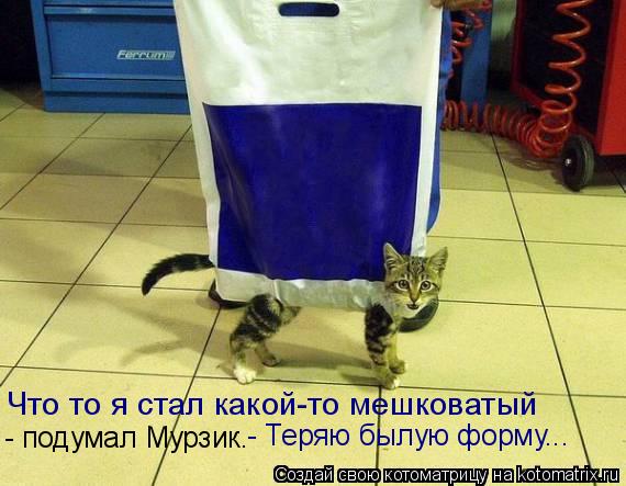 Что то я стал какой-то мешковатый - подумал Мурзик. - Теряю былую форму...... Котоматрица: Что то я стал какой-то мешковатый - подумал Мурзик. - Теряю былую форму...
