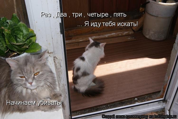 Раз , Два , три , четыре , пять Начинаем убивать! ... Я иду тебя искать!... Котоматрица: Раз , Два , три , четыре , пять Начинаем убивать! ... Я иду тебя искать!
