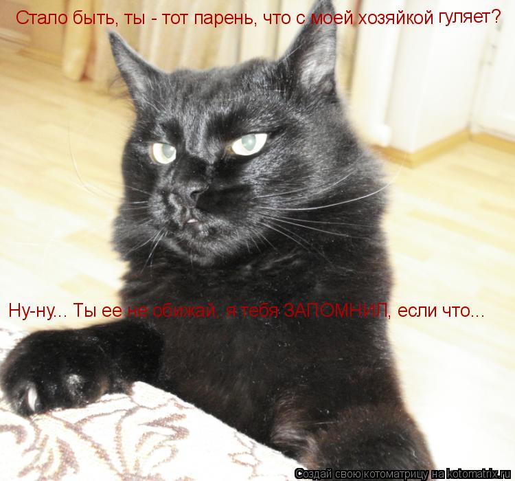 Котоматрица: Стало быть, ты - тот парень, что с моей хозяйкой гуляет? Ну-ну... Ты ее не обижай, я тебя ЗАПОМНИЛ, если что...