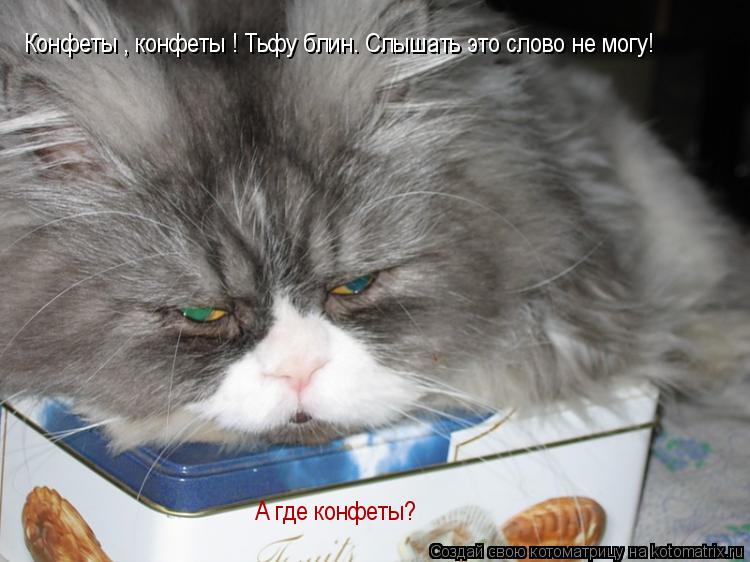 Котоматрица: Конфеты , конфеты ! Тьфу блин. Слышать это слово не могу! А где конфеты?
