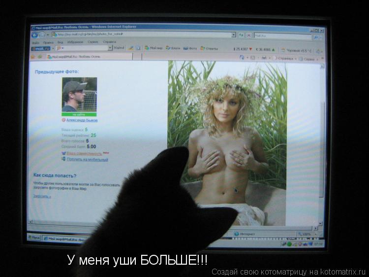 Котоматрица: У меня уши БОЛЬШЕ!!!