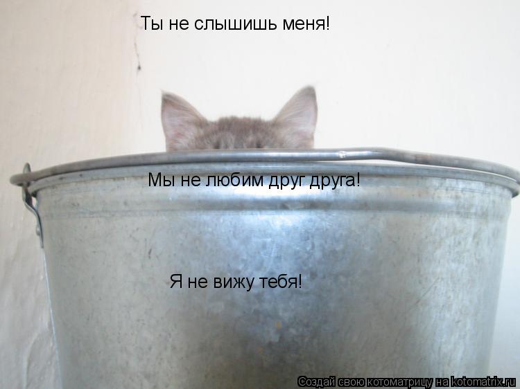 Котоматрица: Ты не слышишь меня! Ты не слышишь меня! Я не вижу тебя! Мы не любим друг друга!