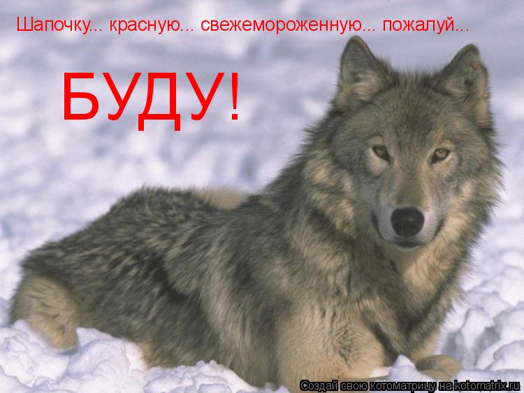 Котоматрица: Шапочку... красную... свежемороженную... пожалуй... БУДУ!