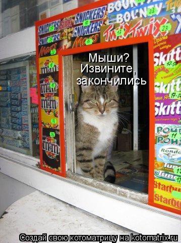 Котоматрица: Мыши? Извините,  закончились