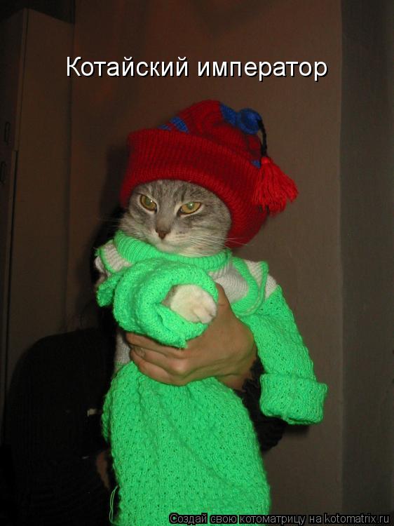 Котайский император... Котоматрица: Котайский император
