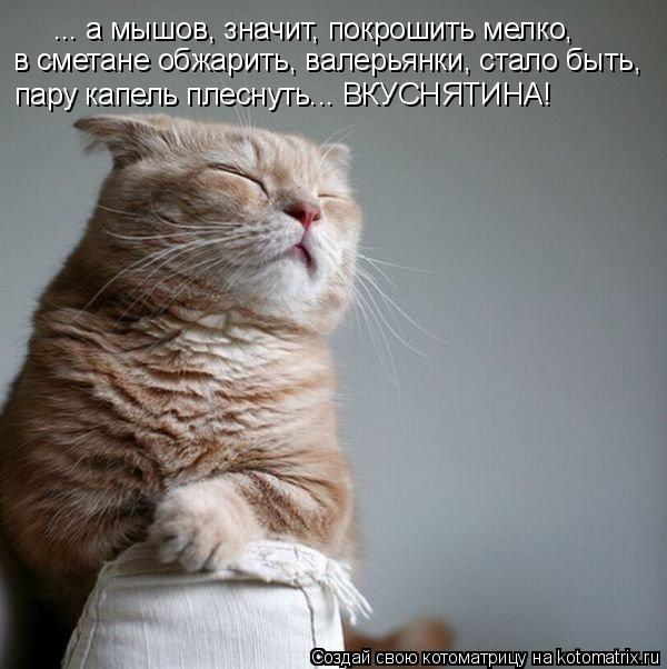 ... а мышов, значит, покрошить мелко, в сметане обжарить, валерьянки, стало быть, пару капель плесну... Котоматрица: ... а мышов, значит, покрошить мелко, в сметане обжарить, валерьянки, стало быть, пару капель плеснуть... ВКУСНЯТИНА!