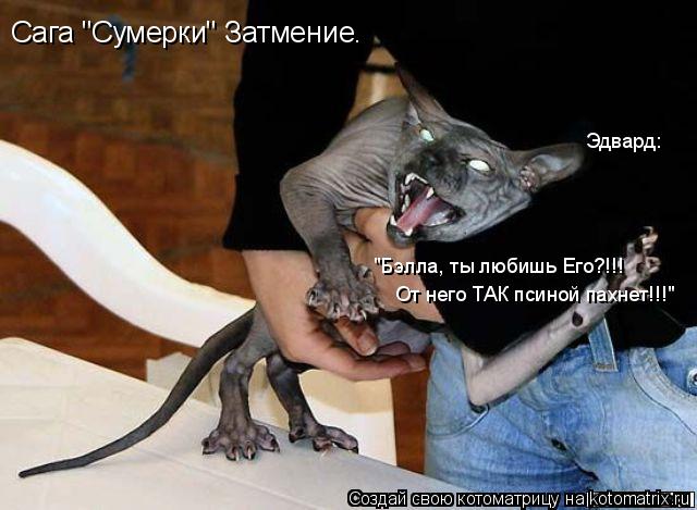 Котоматрица: От него ТАК псиной пахнет!!!" "Бэлла, ты любишь Его?!!! Эдвард: Сага "Сумерки" Затмение.