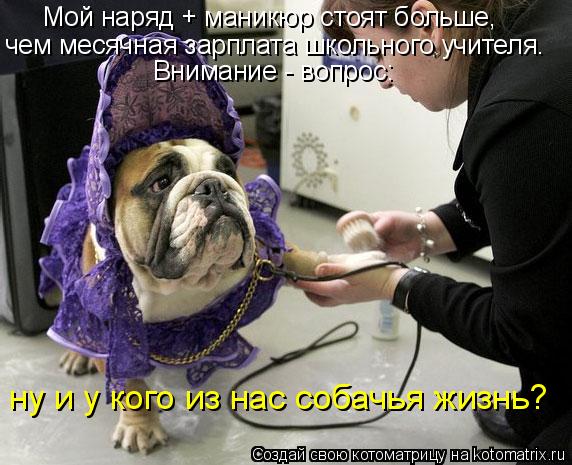 Котоматрица: Мой наряд + маникюр стоят больше,  чем месячная зарплата школьного учителя. Внимание - вопрос: ну и у кого из нас собачья жизнь?