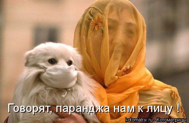 Говорят, паранджа нам к лицу !... Котоматрица: Говорят, паранджа нам к лицу !