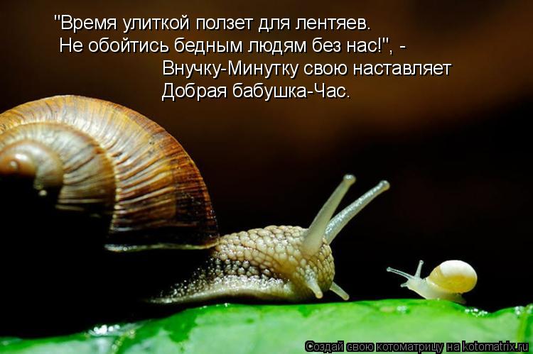 "Время улиткой ползет для лентяев. Не обойтись бедным людям без нас!", - Внучку-Минутку свою наставл... Котоматрица: "Время улиткой ползет для лентяев. Не обойтись бедным людям без нас!", - Внучку-Минутку свою наставляет Добрая бабушка-Час.
