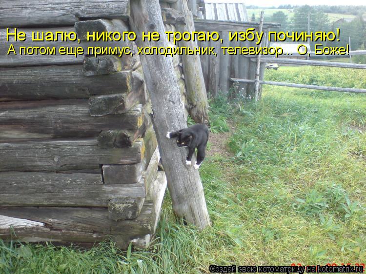 Котоматрица: Не шалю, никого не трогаю, избу починяю! А потом еще примус, холодильник, телевизор... О, Боже!