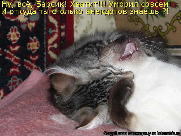 Ну, всё, Барсик! Хватит!!! Уморил совсем! И откуда ты столько анекдотов знаешь ?!... Котоматрица: Ну, всё, Барсик! Хватит!!! Уморил совсем! И откуда ты столько анекдотов знаешь ?!