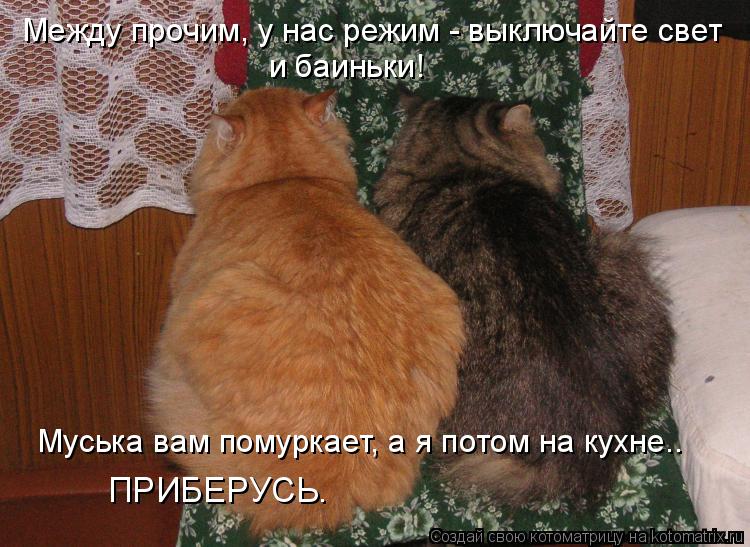 Котоматрица: Между прочим, у нас режим - выключайте свет  и баиньки!  Муська вам помуркает, а я потом на кухне..   ПРИБЕРУСЬ.